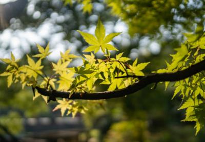 闰月年份表,闰月怎么算
