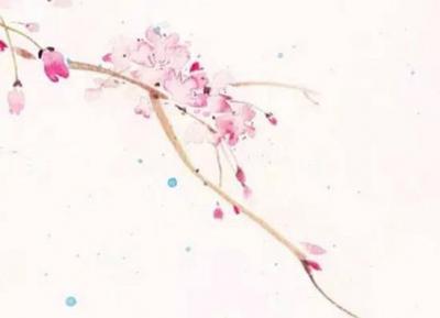 属兔和属狗哪年结婚好 属狗人性格优缺点
