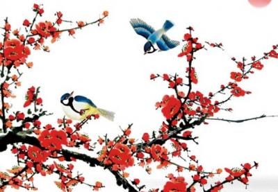 冬至节出生女孩运程,一生乐观积极,是大福大贵之命
