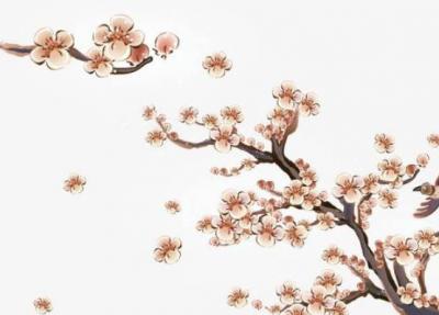 农历2019年十一月十二大雪可以结婚吗,宜嫁娶吗