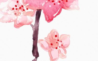2019年12月19号出生的女孩是什么命,如何起名