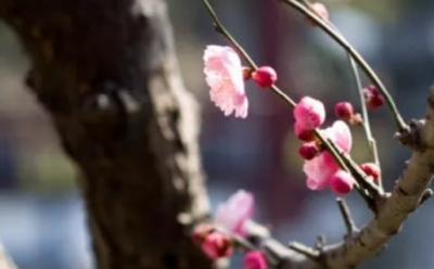 最新的姓孙的男孩名字(带解释) 寓意好又动听
