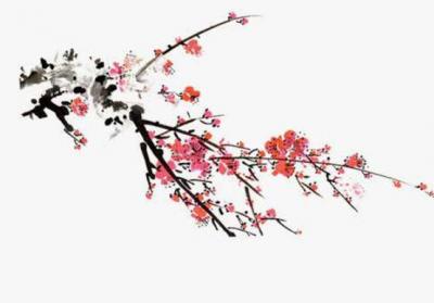 2020鼠年农历十月初六出生的女孩如何取名字,五行八字是什么