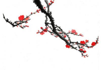 2020鼠年农历十月十四出生的女孩如何取名字,五行八字是什么