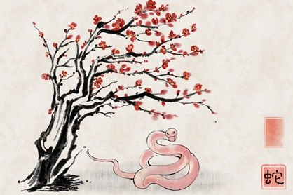 属蛇女最怕的出生月是几月,哪个月出生命最不好