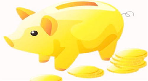 2019什么生肖年 2019年是什么生肖年
