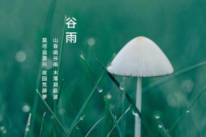 2022年谷雨具体是什么时间?谷雨的气候特点