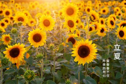 2022虎年立夏时辰吉凶!2022年立夏卦象好吗?