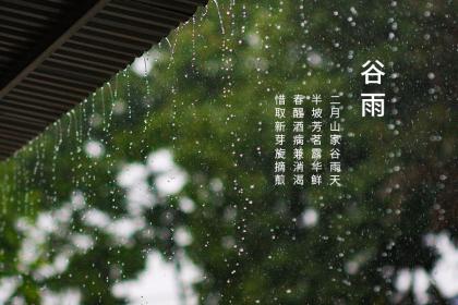 谷雨是几月几号2022年?谷雨是第几个节气?
