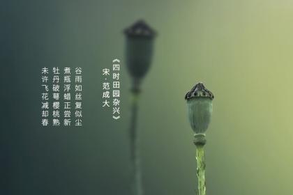 2022年谷雨在几点?谷雨搬家好不好?