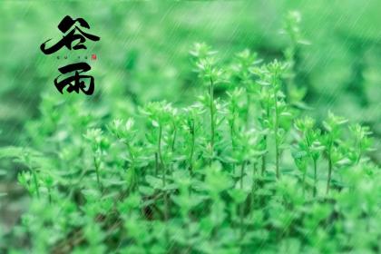 2022年谷雨坟墓可以立碑吗?立碑有什么讲究吗?