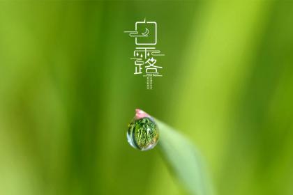 2022年白露是几月几日几点几分？白露节气天气如何呢？
