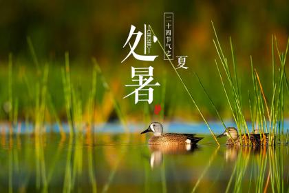 2022处暑是哪一天?处暑的气象变化如何?