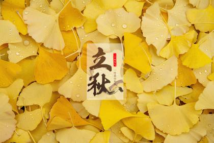 生肖属牛的人出生与立秋节气命运解析