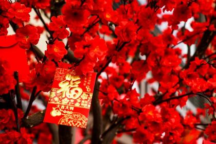 春节有什么习俗?传统习俗有哪些?