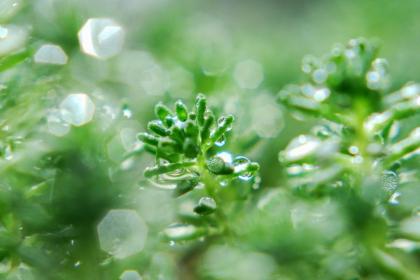 白露节气可以同房吗?白露有什么忌讳事项