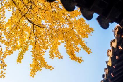 2022年秋分在几点几分几秒交节？秋分有啥传统习俗