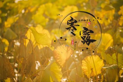 2022年寒露节气结婚好不好?结婚要避开24节气吗?