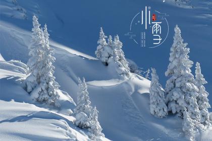 2022年小雪是在哪天交节?小雪节气有什么说法