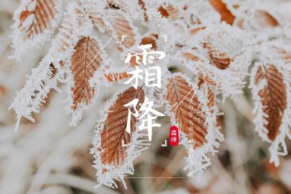 2022年霜降节气不能结婚吗?霜降日忌讳什么事情