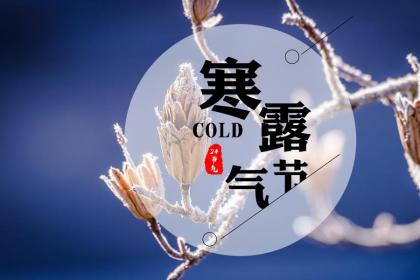 壬寅虎年寒露出生的女孩好吗?是什么星座