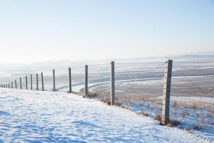大雪跟大寒哪个节气更冷?大雪节气过后几天进入数九天?