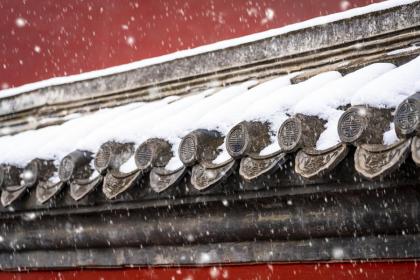 属龙人在小雪节气出生的好吗?是好命吗