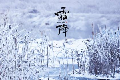 霜降当日能不能领证?什么日子登记结婚证才吉利