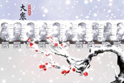 关于大寒的古诗句欣赏,大寒节气开什么花?