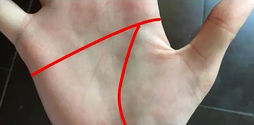 千万别娶断掌的女人 2只手断掌的女人的命好不好
