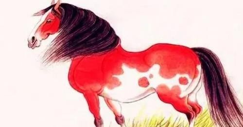 属马人的克星是什么生肖 生肖马跟什么配是大忌
