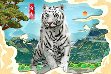 熊神进属虎人2016年运程及破解方法