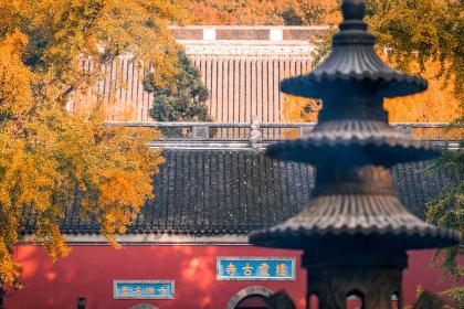 生肖属猴出生在大寒节气的人是不是命很不好?