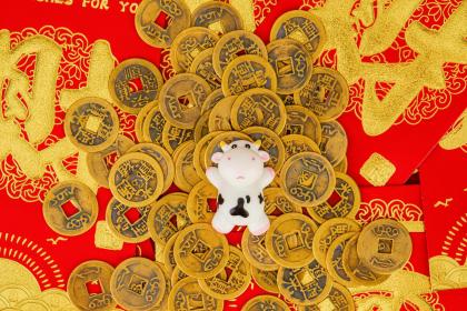 生肖属蛇十二月初八腊八节出生的人命运怎么样?