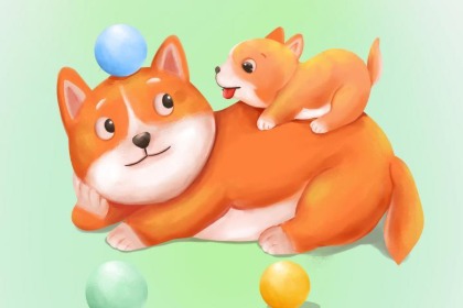 十二生肖里的生肖兔为什么叫卯兔？