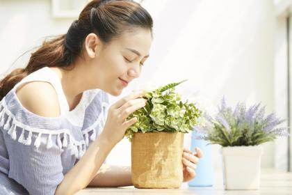 三角眼的女人是什么性格特点 三角眼解析