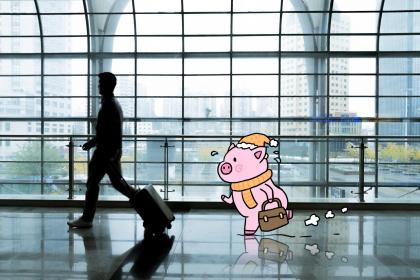 属猪有没有财运 什么时候财运会变好