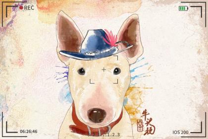 94年属狗男的婚烟 今年有桃花运吗