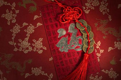 养猫会带来什么运气 养猫的风水禁忌