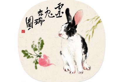 属兔的什么颜色最吉利 青色黄色蓝色最好