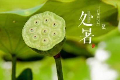 杭州处暑吃什么 处暑时节忌讳吃什么