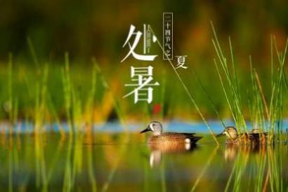 四川处暑吃什么 处暑节气有什么忌讳吗