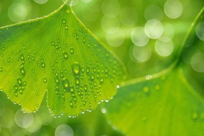 出门办事就下大雨代表什么 出门下雨的寓意