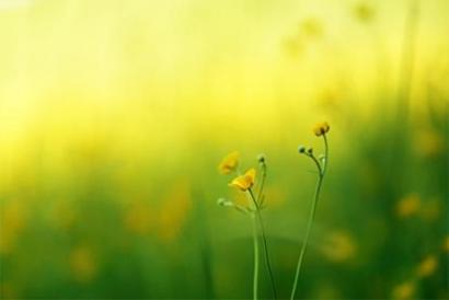 医药公司大全 好听顺口的医药公司名字(带解析)