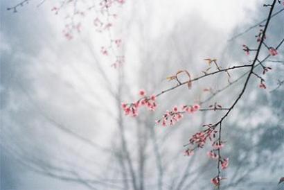 91年2月7日是什么命 农历十二月二十三出生命运
