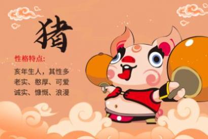 属猪人今年适合考驾照吗 考驾照要注意哪些