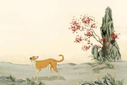 福气好又幸福的生肖女 幸福无忧的星座