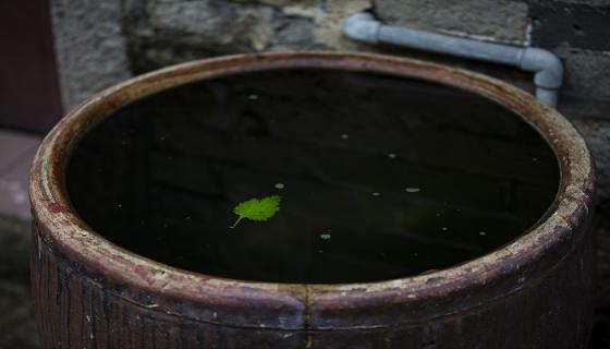 梦见清水是什么意思 梦见清水有什么预兆