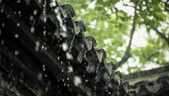 梦见春雨是什么意思 梦见春雨有什么预兆