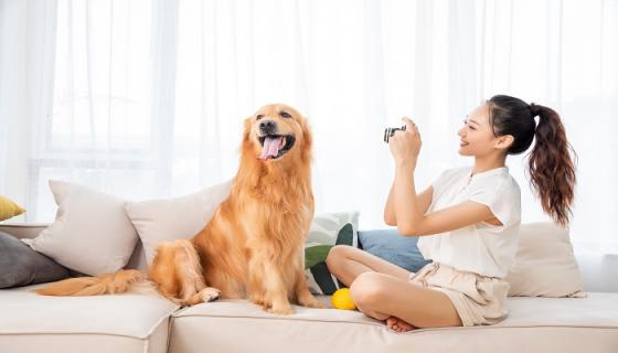 梦见狗把朋友咬了什么意思